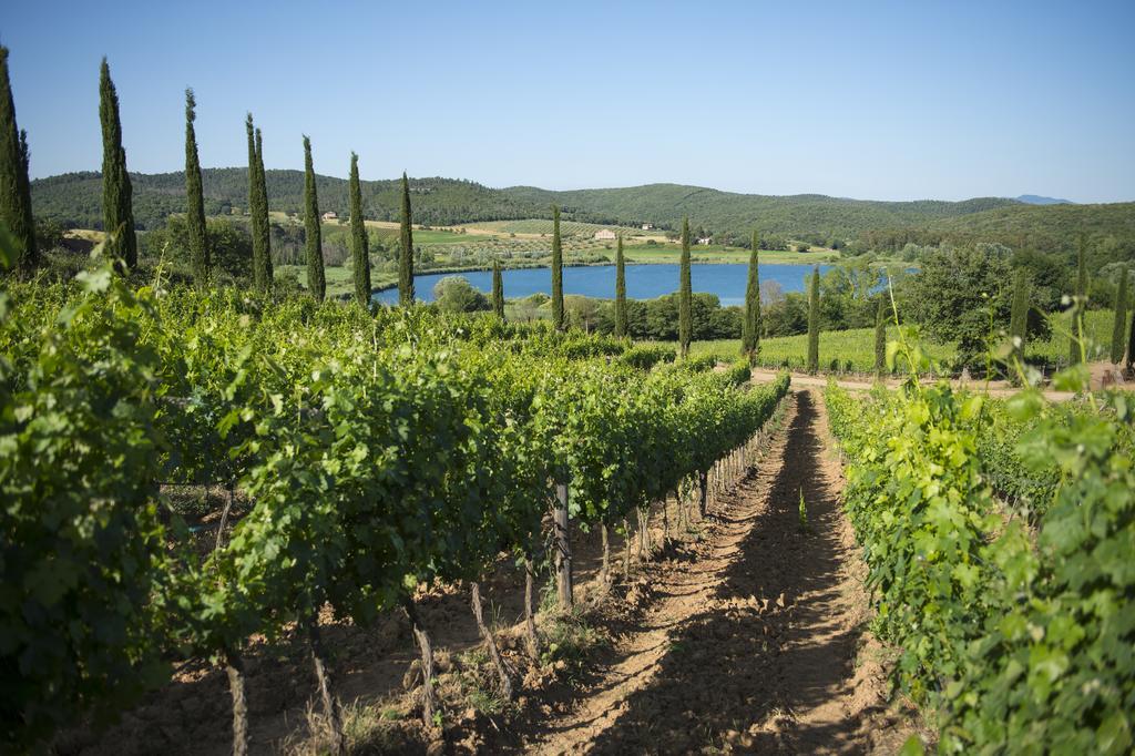 Poggio Corbello Alojamento de Turismo Rural