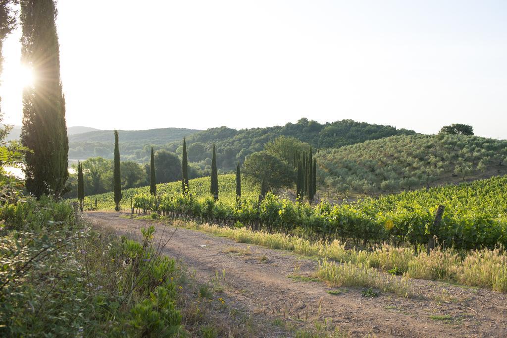 Poggio Corbello La Pesta