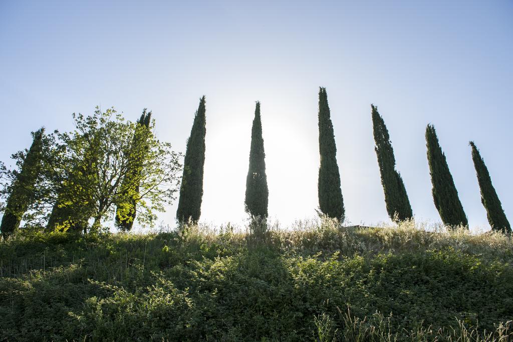 Alojamento de Turismo Rural Poggio Corbello