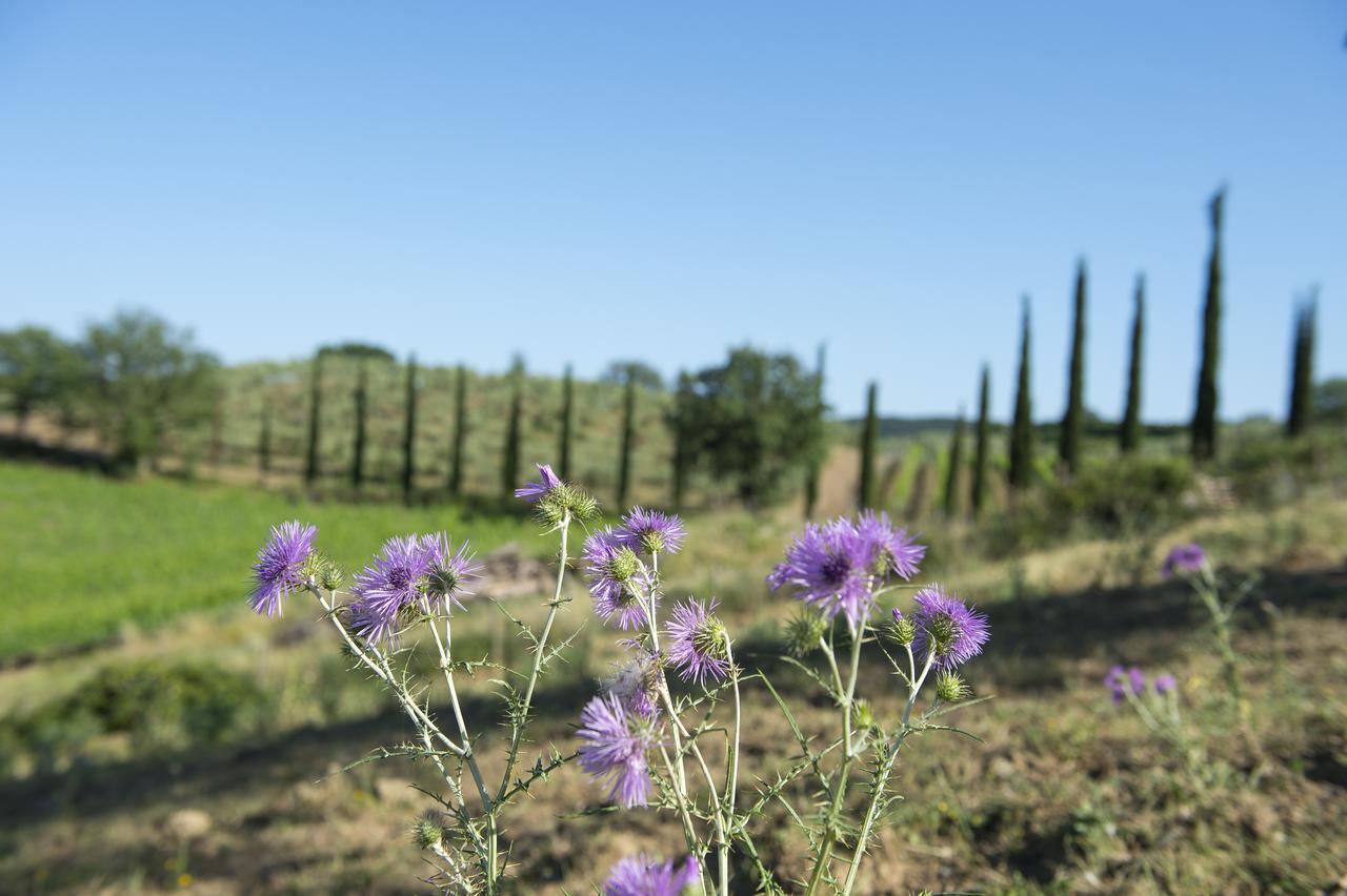 Poggio Corbello Alojamento de Turismo Rural *
