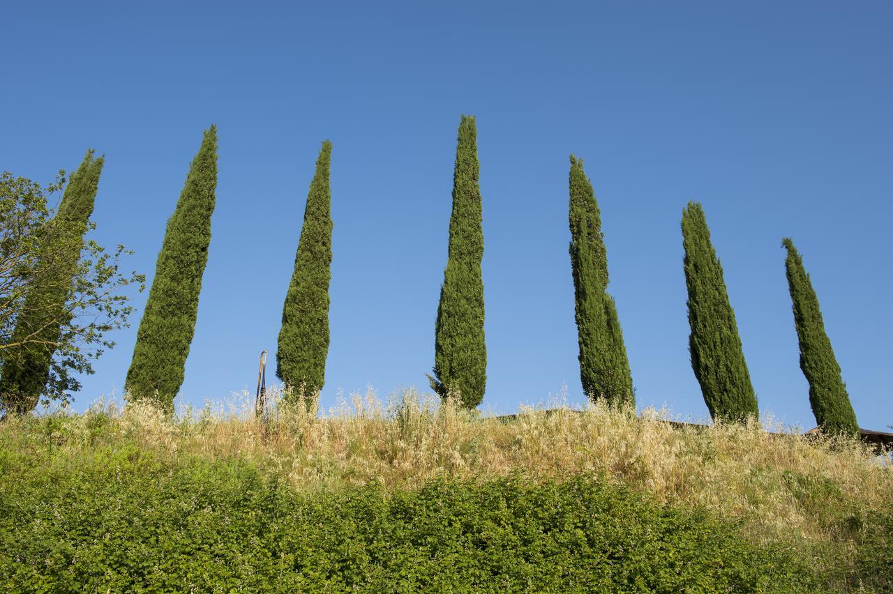 Alojamento de Turismo Rural Poggio Corbello *